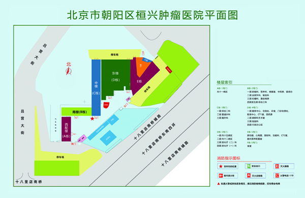 网站操逼的视频北京市朝阳区桓兴肿瘤医院平面图